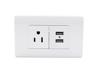 118B-19 3 Pin Socket With Double USB