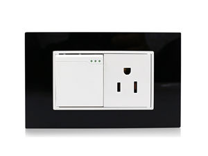 118T-17 1 Gang Wall Switch With 3 Pin Socket