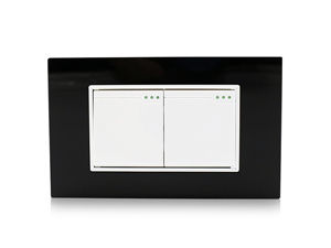 118T-03 2 Gang Switch